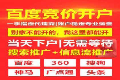 百度推广成功案例：打造行业领军品牌之路